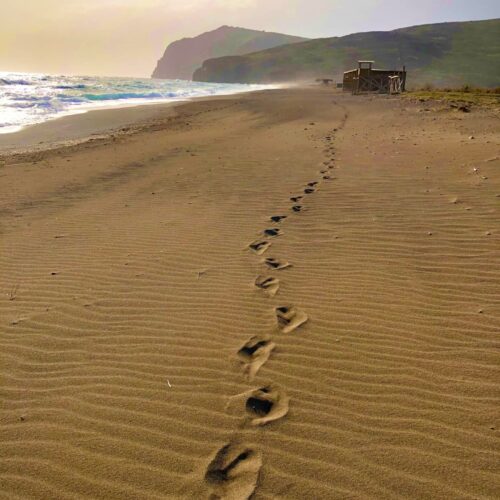 Για τον όρο Aπάτητες παραλίες. Η θέση του συλλόγου μας.