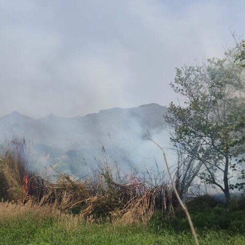 Για την φωτιά στο ανάχωμα του Ψαροποταμού.