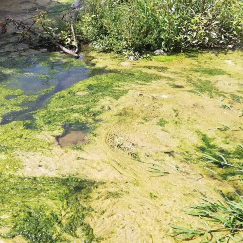 Κάμπος Ερεσού – 3 πληγές ζητάνε θεραπεία.