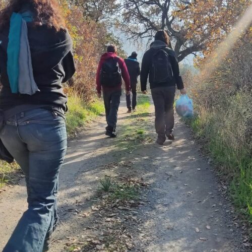 Δράση κοινωνικής αλληλεγγύης