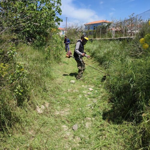 Ενημέρωση για τον συλλογικό καθαρισμό.