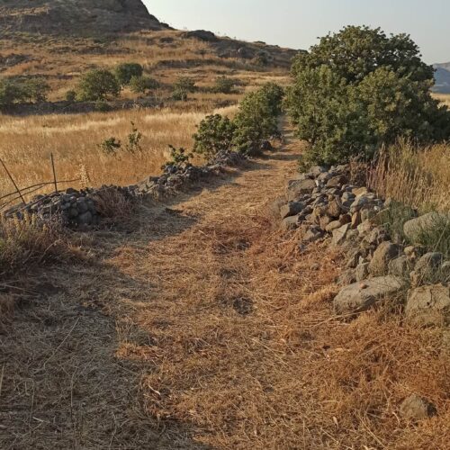 Επιστολή για την καταπάτηση της Α’ Ζώνης Αρχαίας Ερεσού.