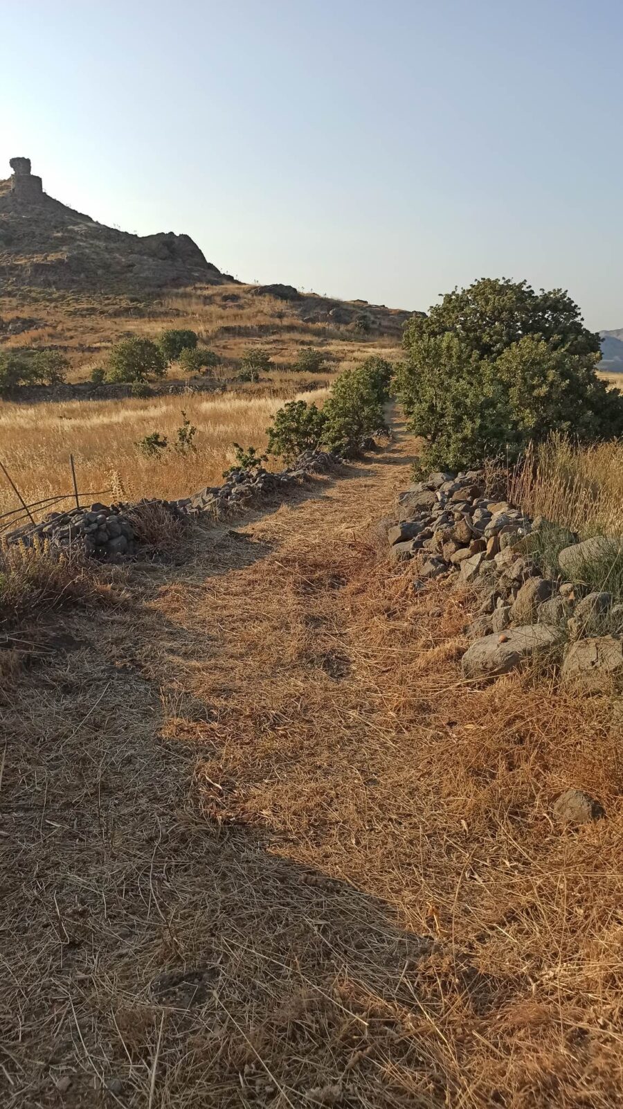 Επιστολή για την καταπάτηση της Α’ Ζώνης Αρχαίας Ερεσού.