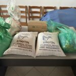 Δράση αλληλεγγύης στο Φάρο