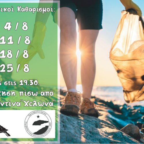 Συλλογικοί καθαρισμοί Αυγούστου.