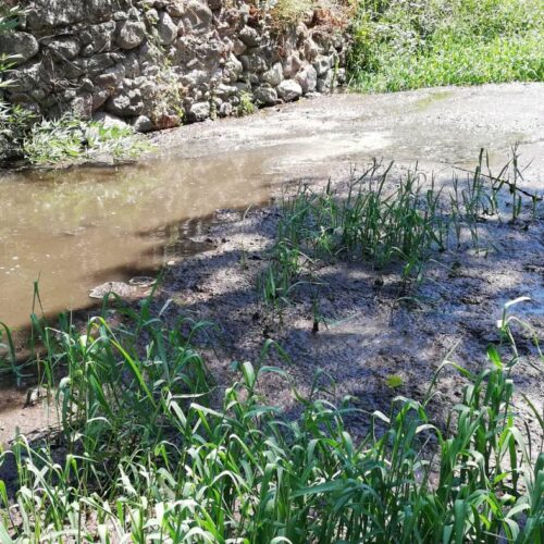 Στήριξη καταγγελίας για Βιολογικό Ερεσού.